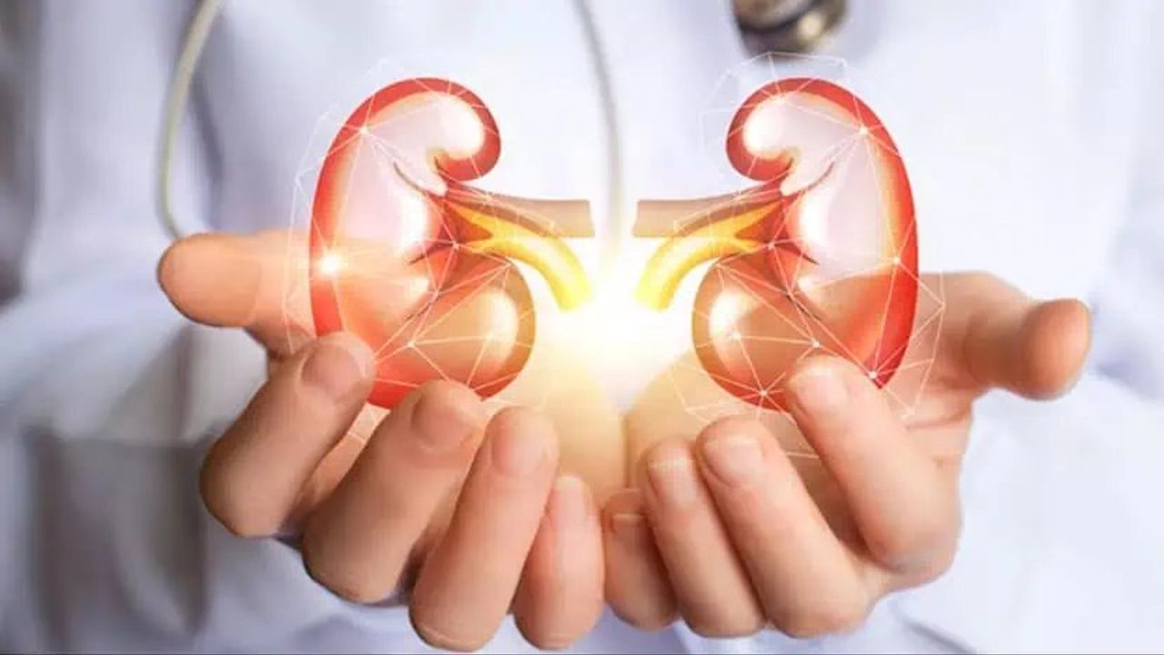 Böbreklerinizde Sorun Olduğunu Gösteren 10 Semptom
