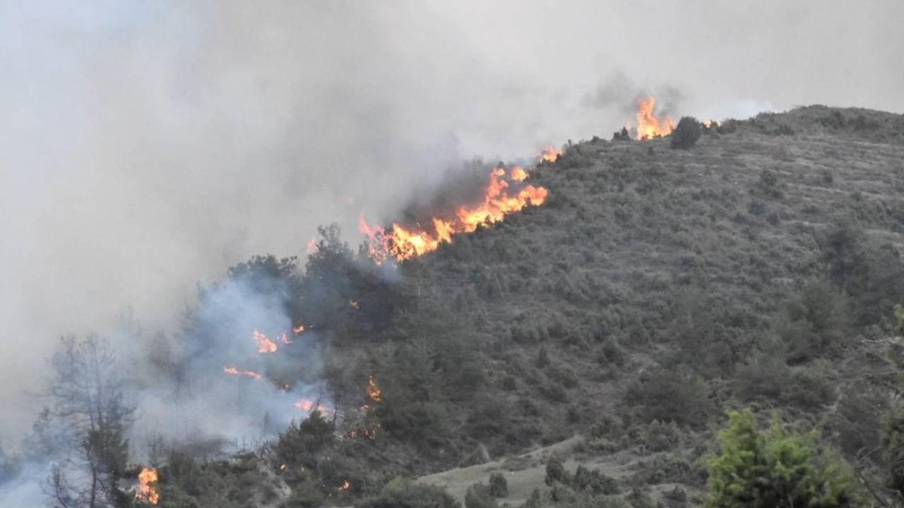 Bilecik'te orman yangını: Müdahale edilmeye başlandı