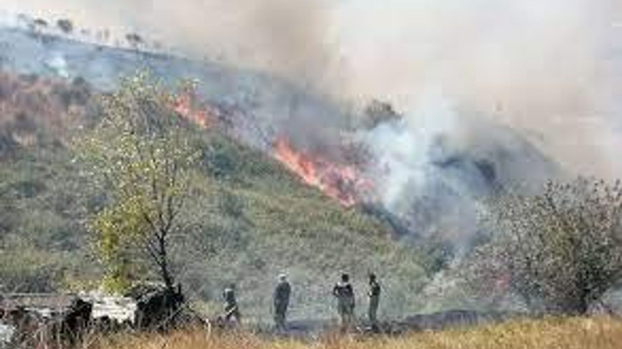 İstanbulda yangın: Yangın, ormanlık alana sıçradı
