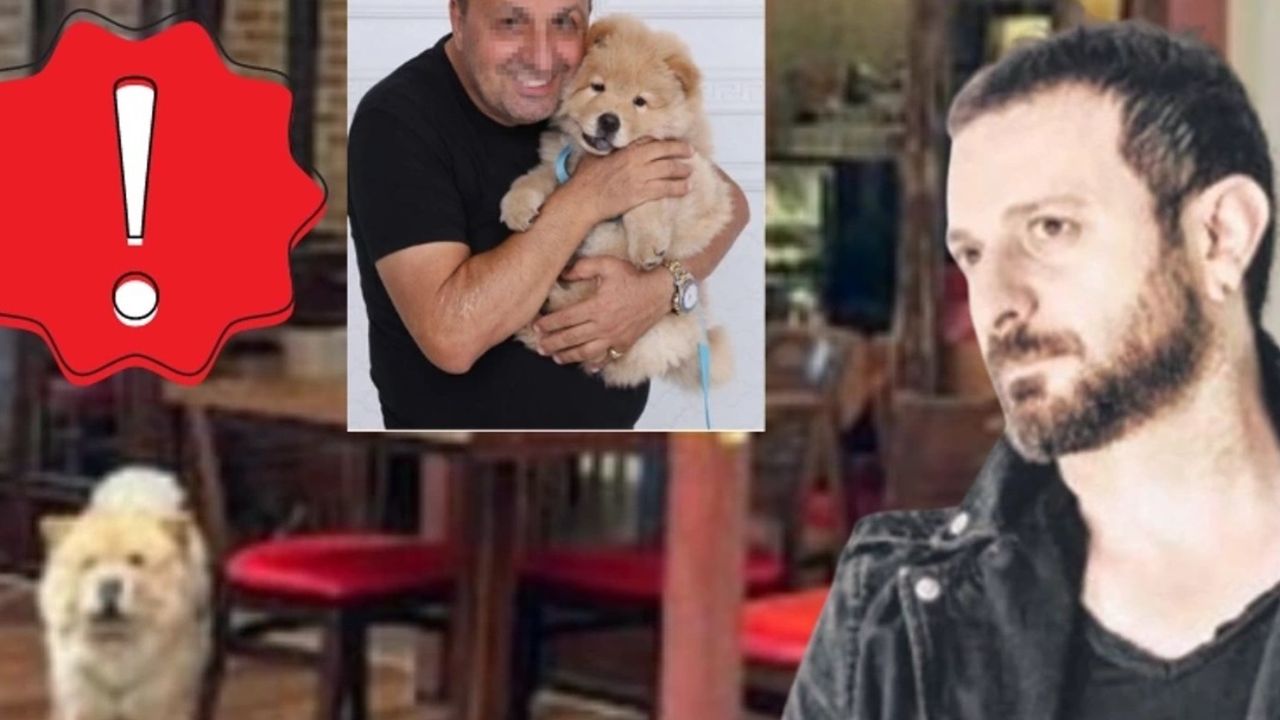 Ünlü sanatçının restoranda zor anları! İşletme sahibinin köpeği kulağını kopardı! 