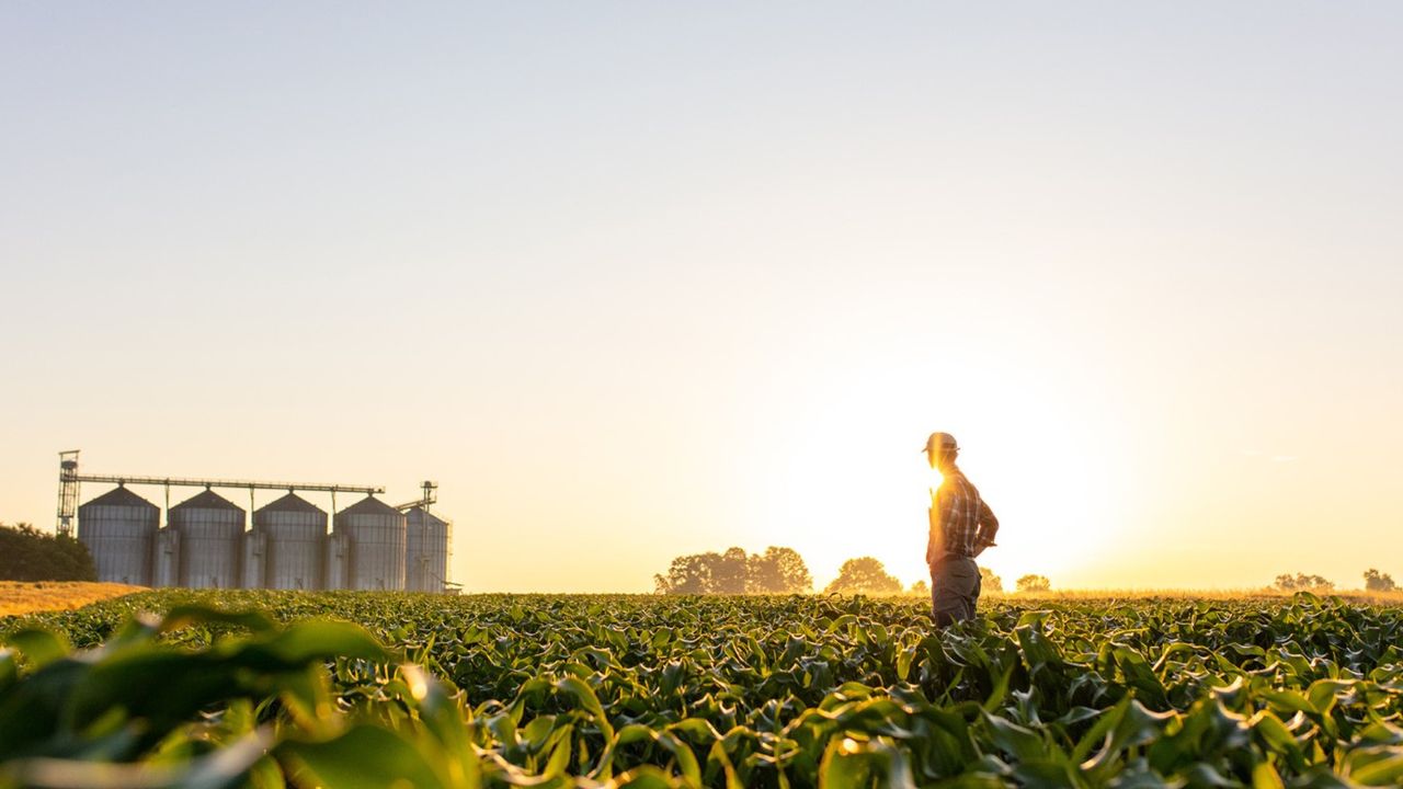 Milyonlarca çiftçiye duyuruldu: Tarımsal destekleme ödemeleri yattı