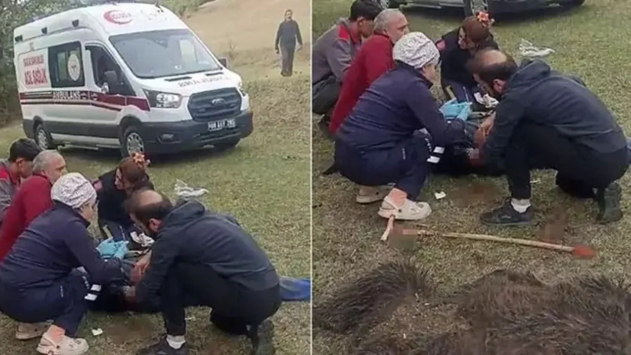 Ayı saldırısından komşularının tüfeğiyle kurtuldu