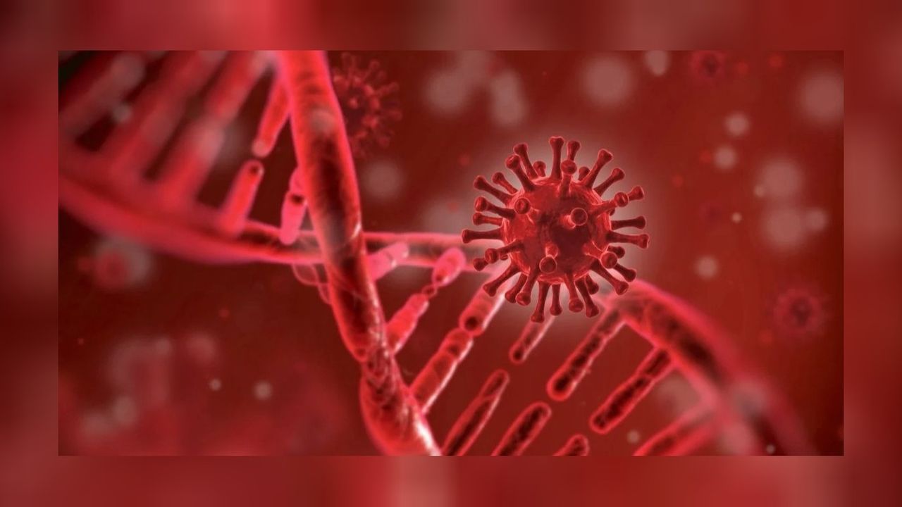 Bilim insanları, yeni bir tehdit olarak CKM sendromunu tanımladı!