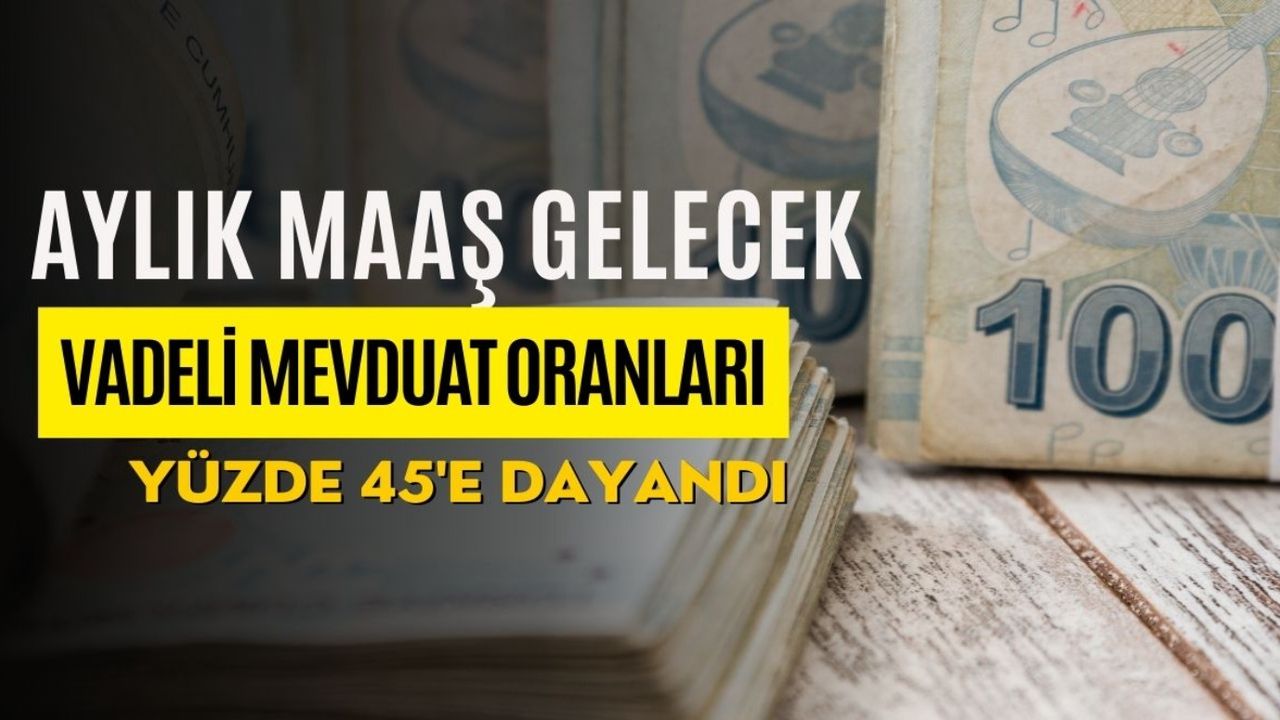 Bir ayda IBAN’ınıza 5.372 TL ödenebilir İşte yapmanız gereken tek şey