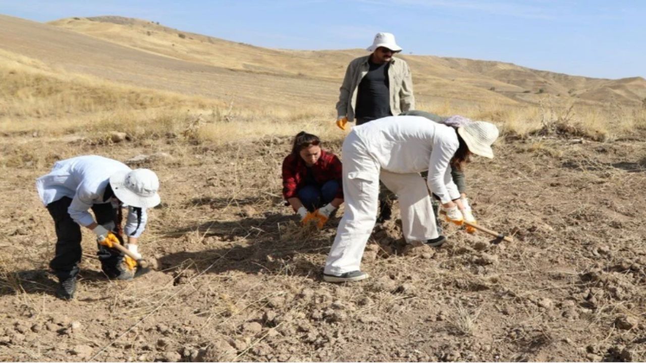 Çubuk’ta Ankara Savaşı’nın Şehit Mezarlığı bulundu