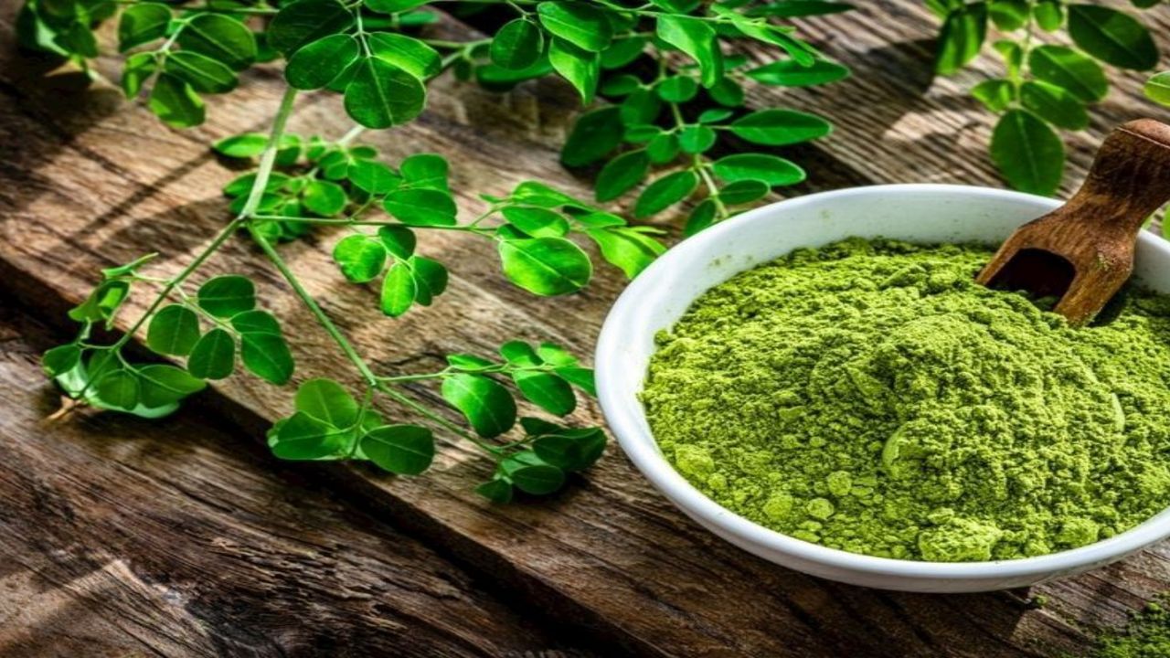 Vücuttaki iltihaplanma ile mücadelede en etkili bitki...