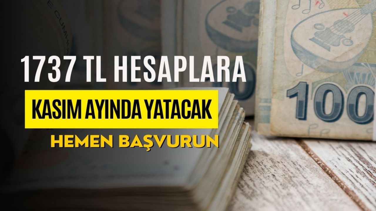 Hemen başvurun Kasım'a hak kazanın! 1-2 çocuklu ebeveyn Kasım ayında 1737 TL destek alacaksınız! 