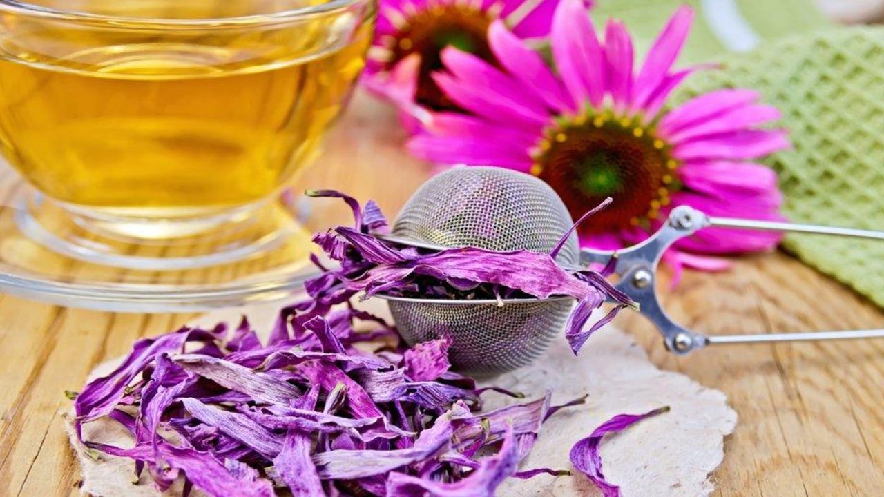 Her derde deva! Kanserin doğal ilacı... 