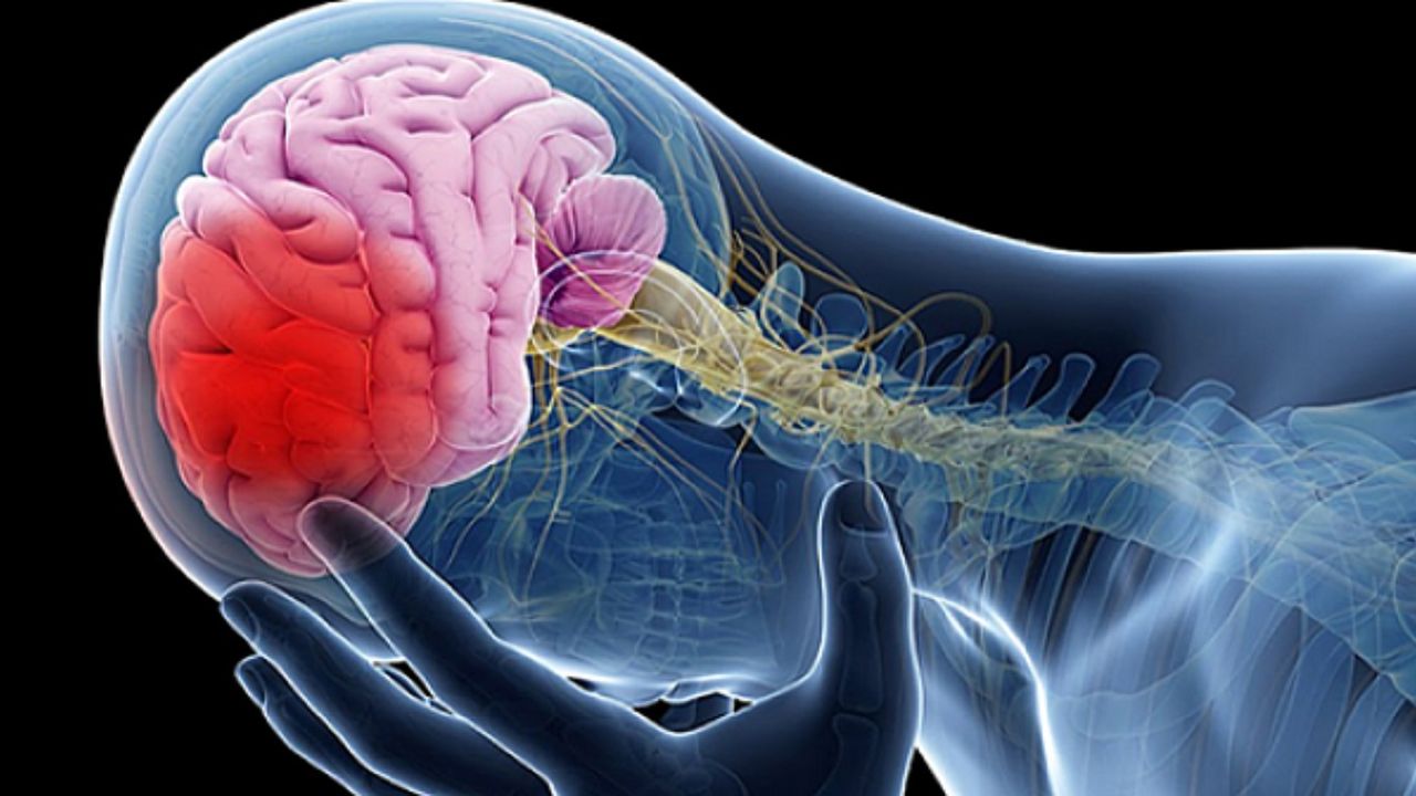 İlk kez görülen yöntemle felç tedavisinde ışıltılı gelişme!