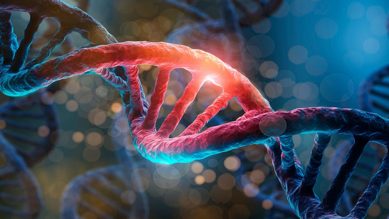 İşte Wilson hastalığının belirtileri ve etkili tedavi yöntemleri