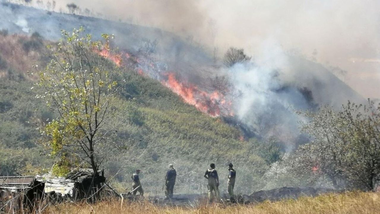 İzmir'de orman yangını: Ekiplerin yangına müdahalesi sürüyor