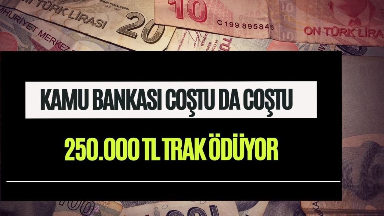 Kamu bankası müşterisini arşa çıkarıyor! 250.000 TL ödeme ile işsizlik bitiyor