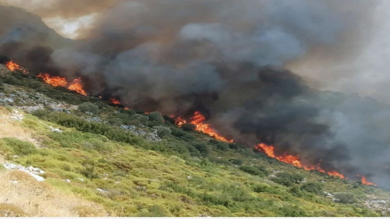 Muğla'da orman yangını! Ekipler karadan ve havadan müdahale ediyor