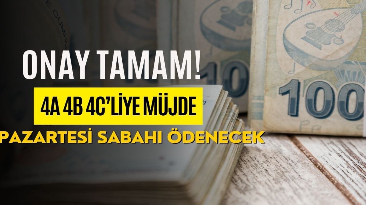 Pazartesi Sabah 09.01'de Emeklinin Hesabına Trink 3600 TL Ek Ödeme Yapılacak! IBAN'a Bakmayan Kaçıracak