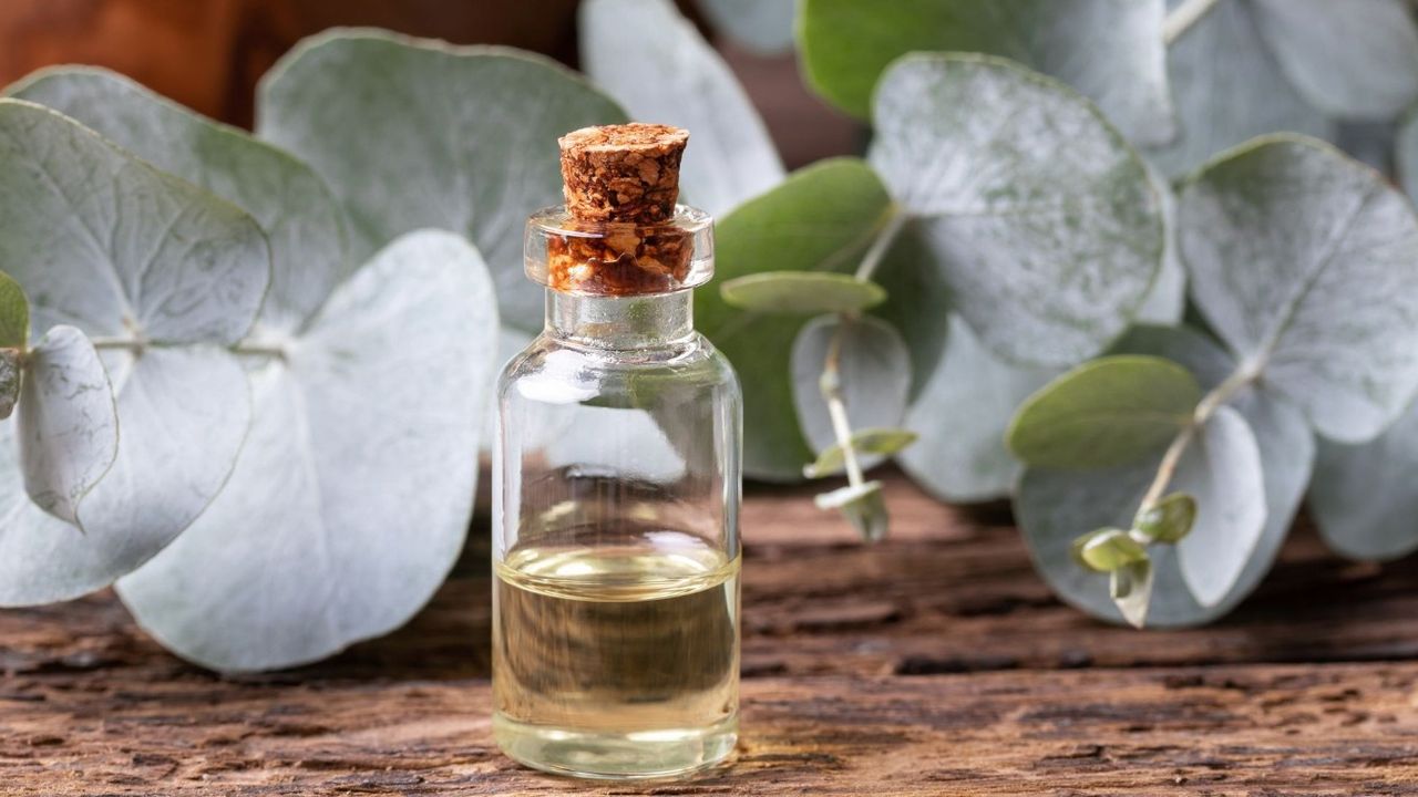 Tek bir damlası şifa! Enfeksiyonları yok ediyor 