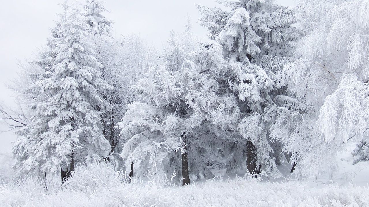 Türkiye'yi adeta buz tutacak Karlar altında bırakacak fırtına o şehirleri tutsak edecek