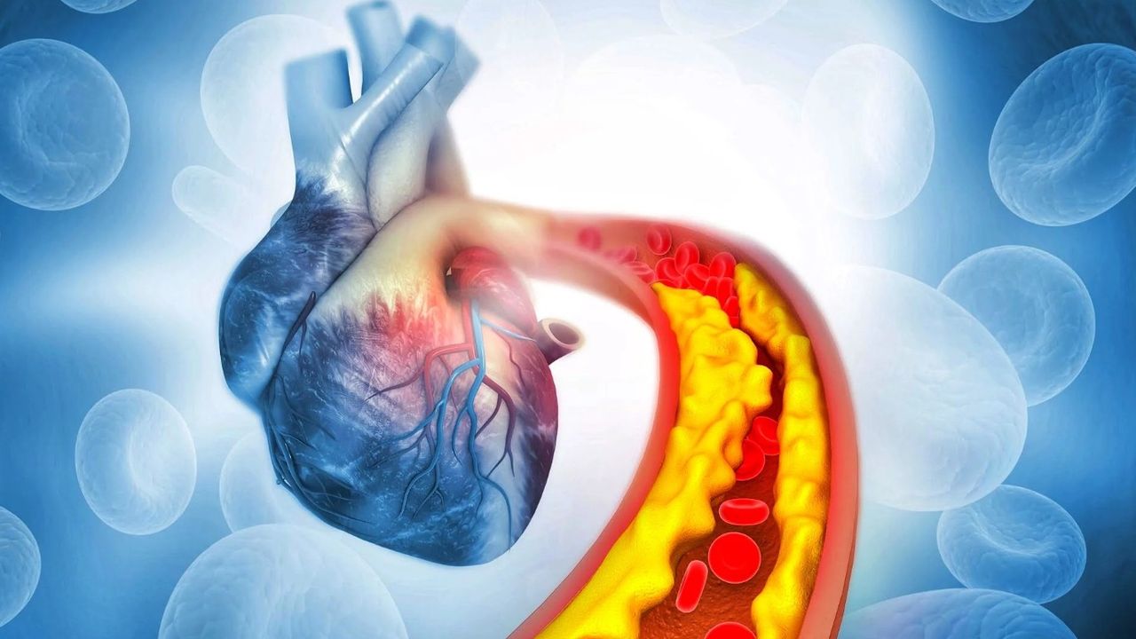 Yüksek kolesterol kalbi vuruyor! İşte kolesterolü dengeleyen besinler…