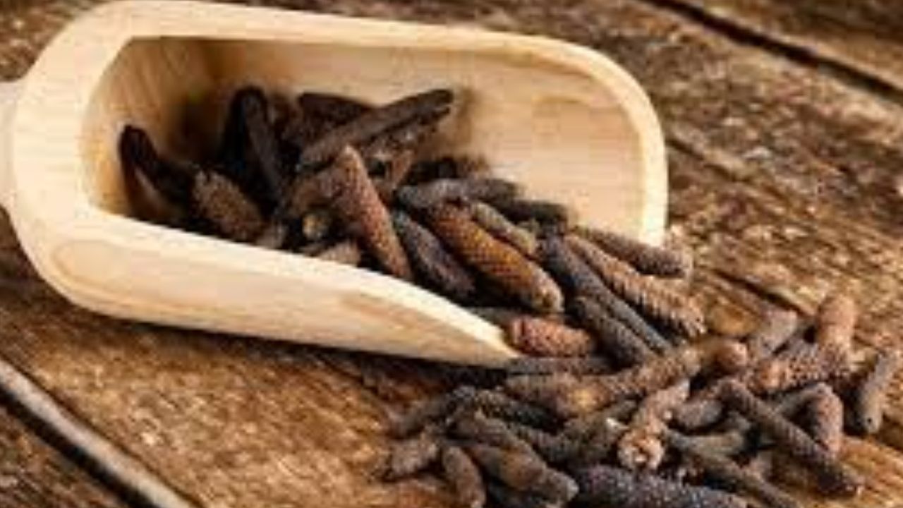  Yüzyılların şifa baharatı! Mikropları kırıyor, ağızdaki kötü kokuları yok ediyor...