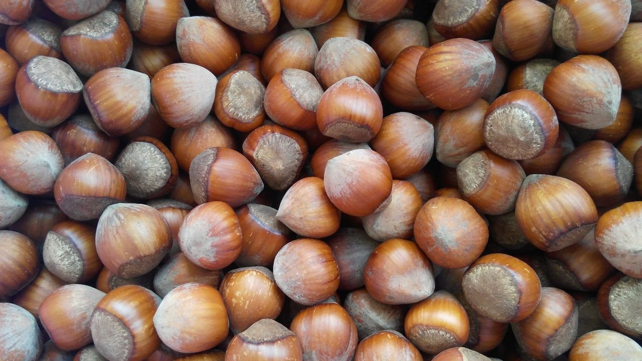 21 Kasım 2023 fındık fiyatları ne kadar? Güncel serbest piyasa fındık fiyatları