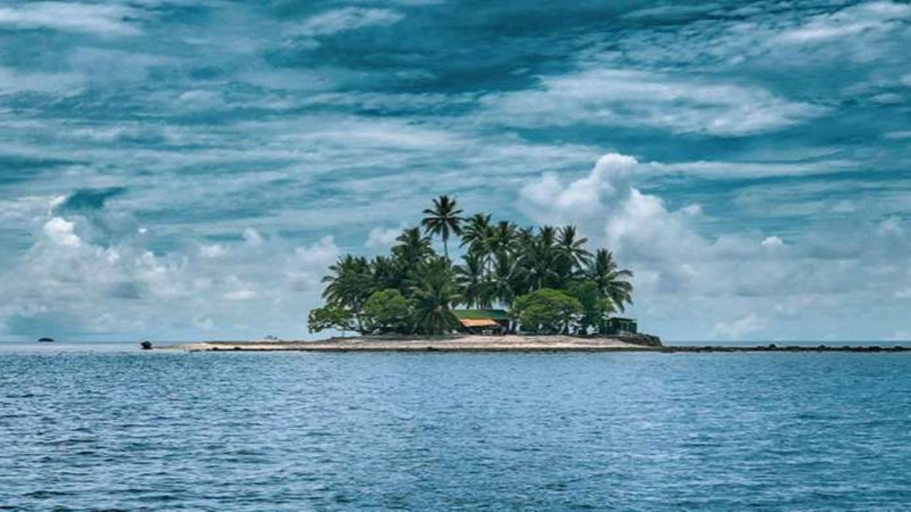 Bir adaya sevdikleriniz ile düşseniz! Ve size 5.5 milyon Türk lirası maaş verilse!