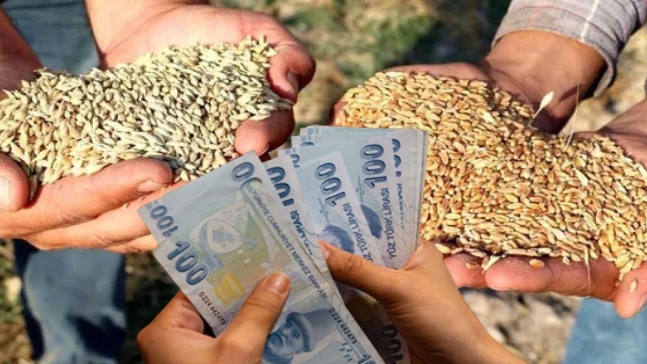 Buğday ve arpa fiyatlarında pes peşe açıklamalar! Serbest piyasa ekmeklik buğday ve arpa fiyatları 2023