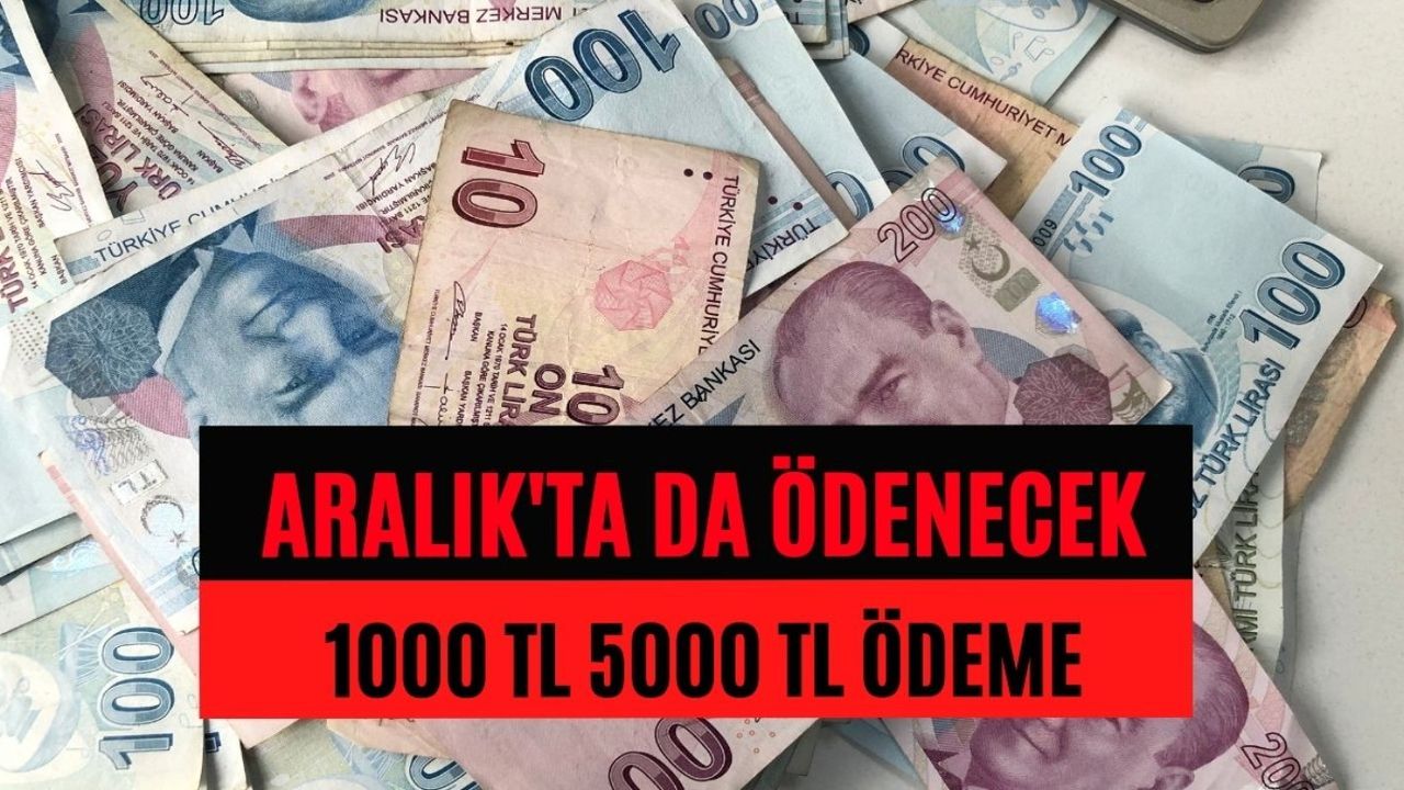 Devlet o bireye elini uzattı! Aralık'ta da ödenecek 1000 TL 5000 TL ödeme yapıyor