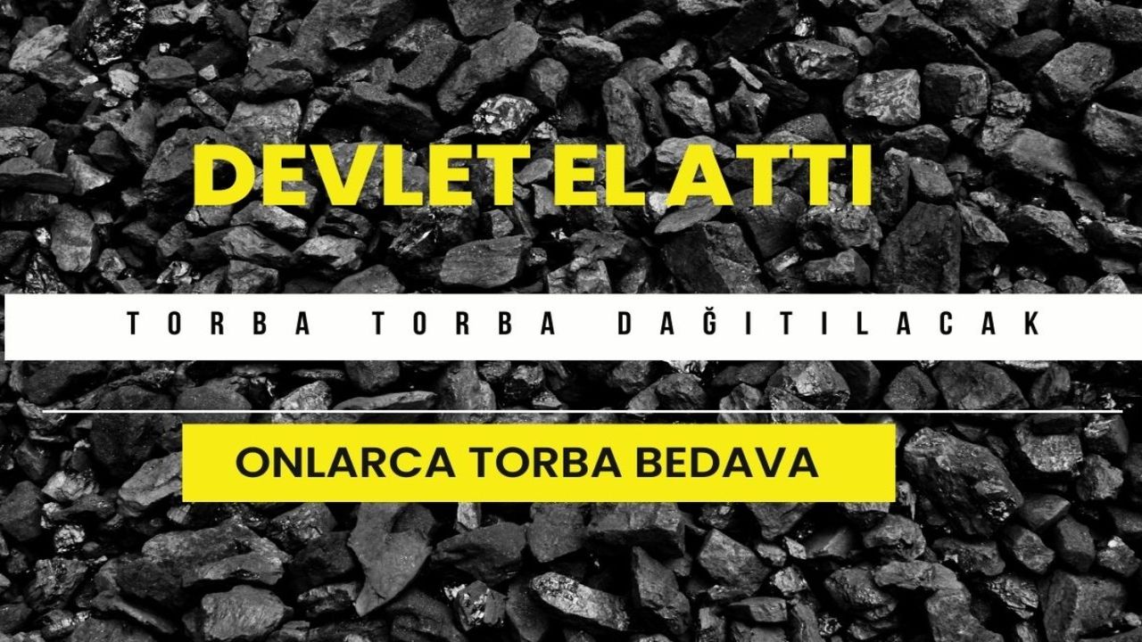 Devlet torba torba kömür dağıtıyor! Her haneye ısınma bedavaya geliyor