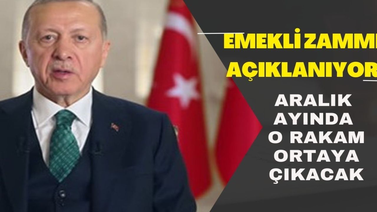 Emekli zammında dananın kuyruğu koptu kopacak! Ocak değil Aralık'ta o gün belli olacak!
