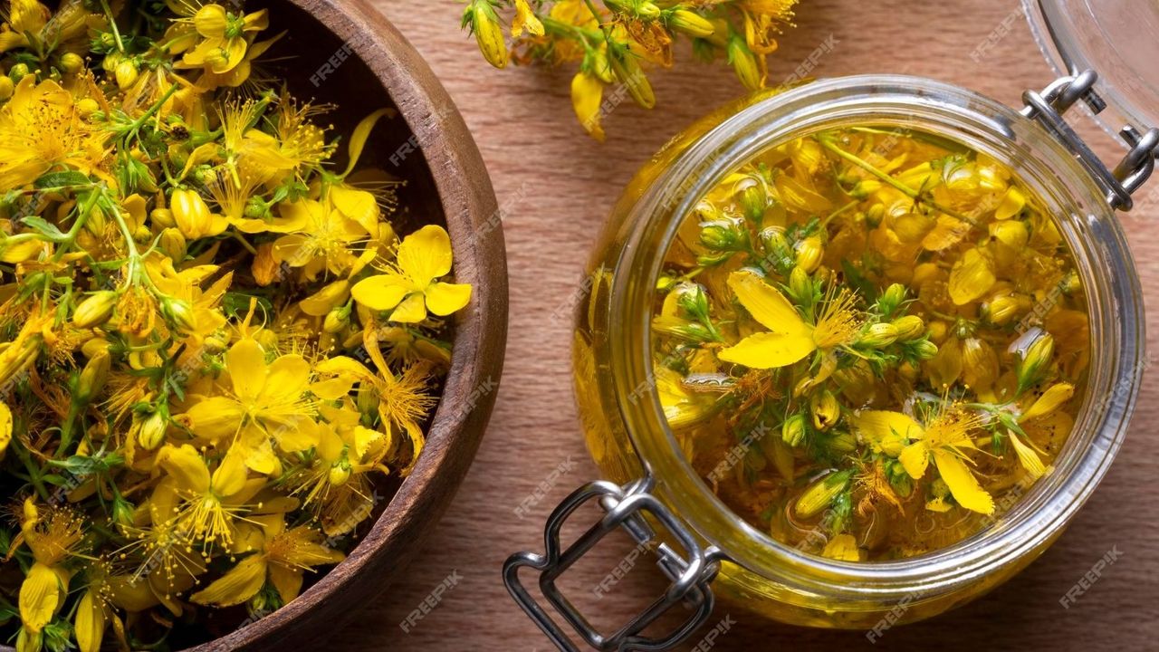 Kantaron yağındaki mucize! Her derde deva özelliği var