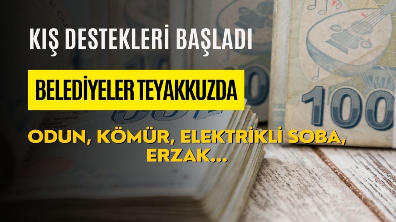 Kış desteği haneleri ısıtacak! Devletten sonra belediyeler de kış yardımına başladı! Odun, kömür, elektrikli soba, erzak