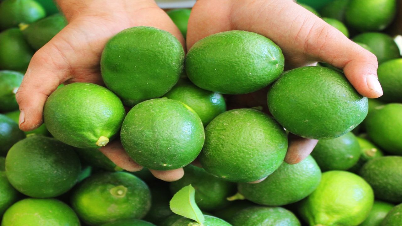 Limon fiyatlarındaki düşüş durmuyor! Tüketici bayram ederken üreticiler karalar bağlıyor