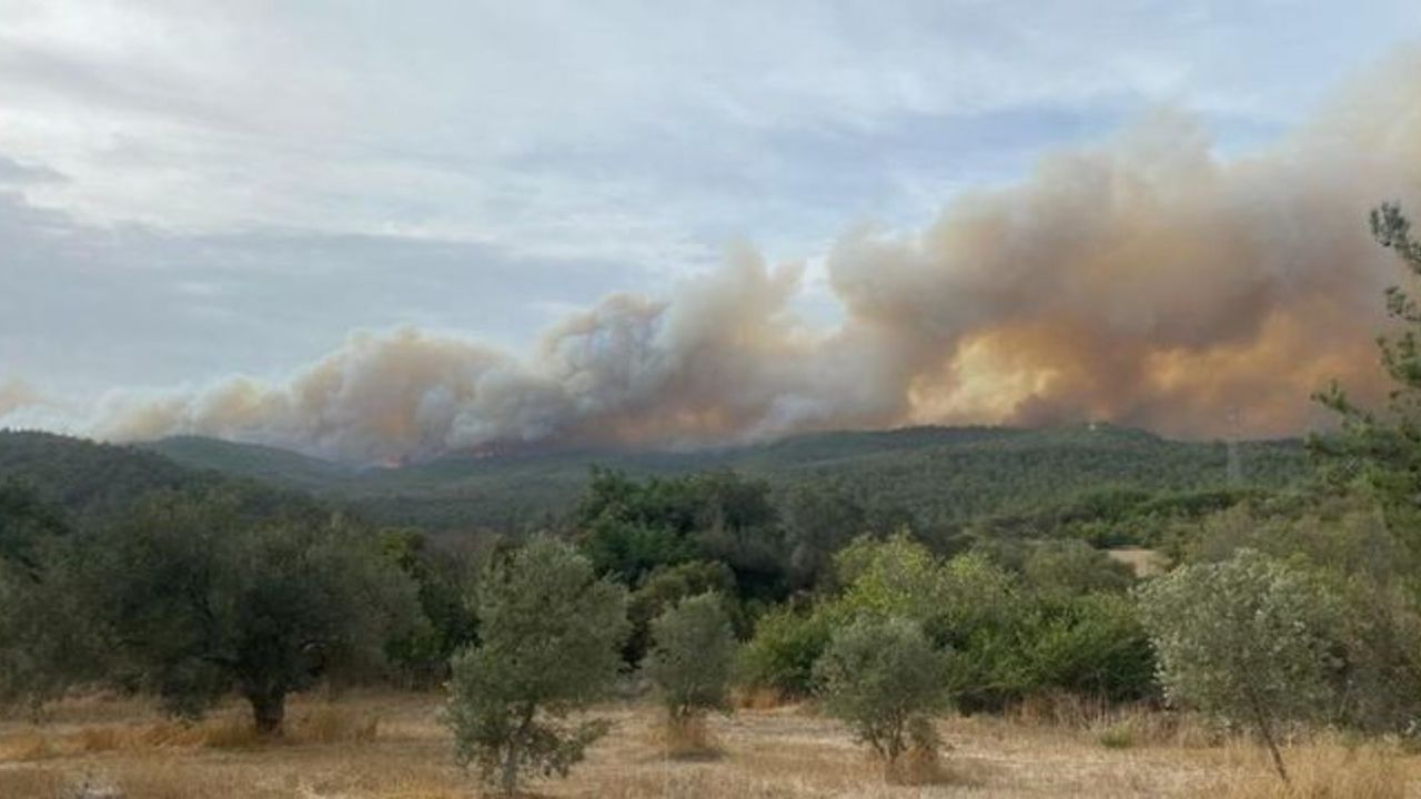 Lodosun etkisiyle üç ilde ormanları büyüdü: Yangın yerleşim yerlerine yaklaştı
