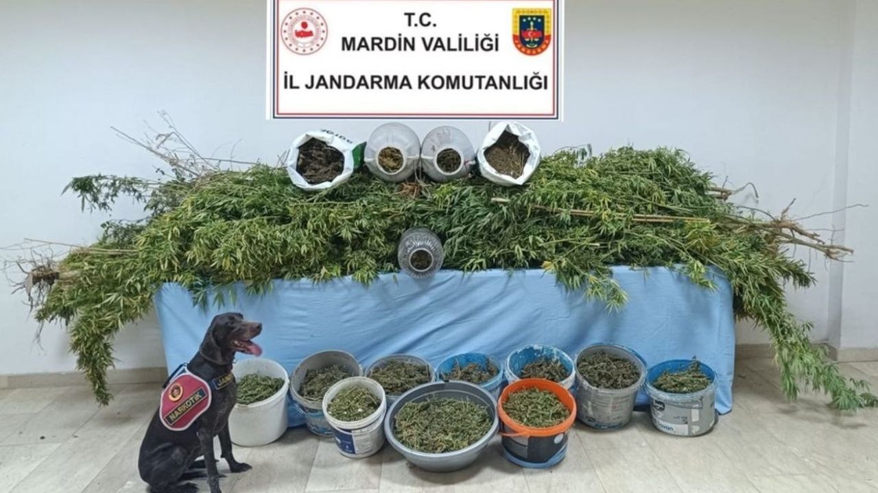 Mardin'de uyuşturucu operasyonu: 7 şüpheli tutuklandı