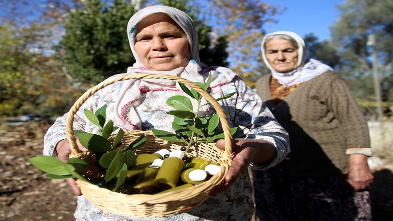 Muğla’da binbir zahmetle üretilen ürünün litresi 2000 TL’ye satışa çıkartılıyor!