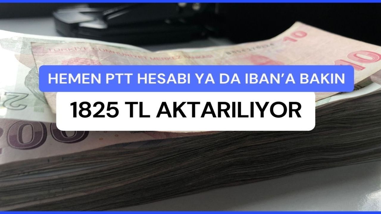 PTT hesabı ya da IBAN fark etmiyor! 23-24 Kasım'da başvurana 1825 TL aktarılıyor