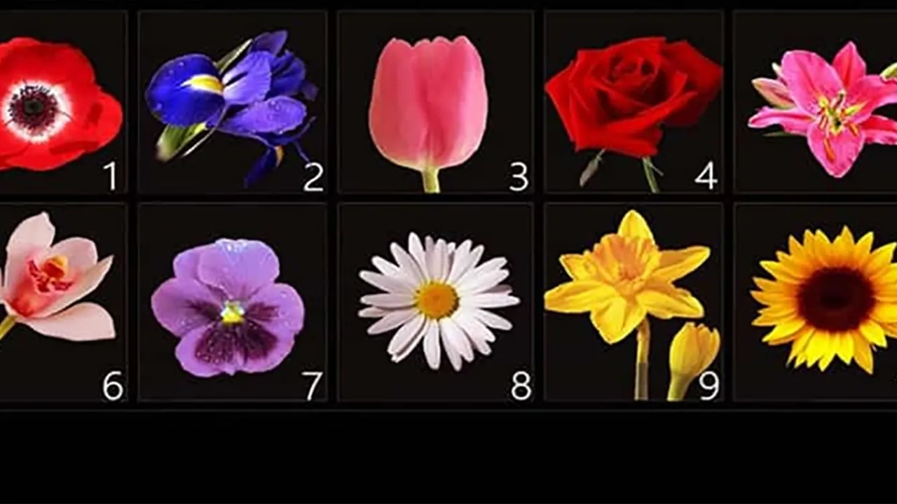 Resimde sevdiğin çiçeği seç kim olduğunu öğren! 2 dakikada karakter testi!