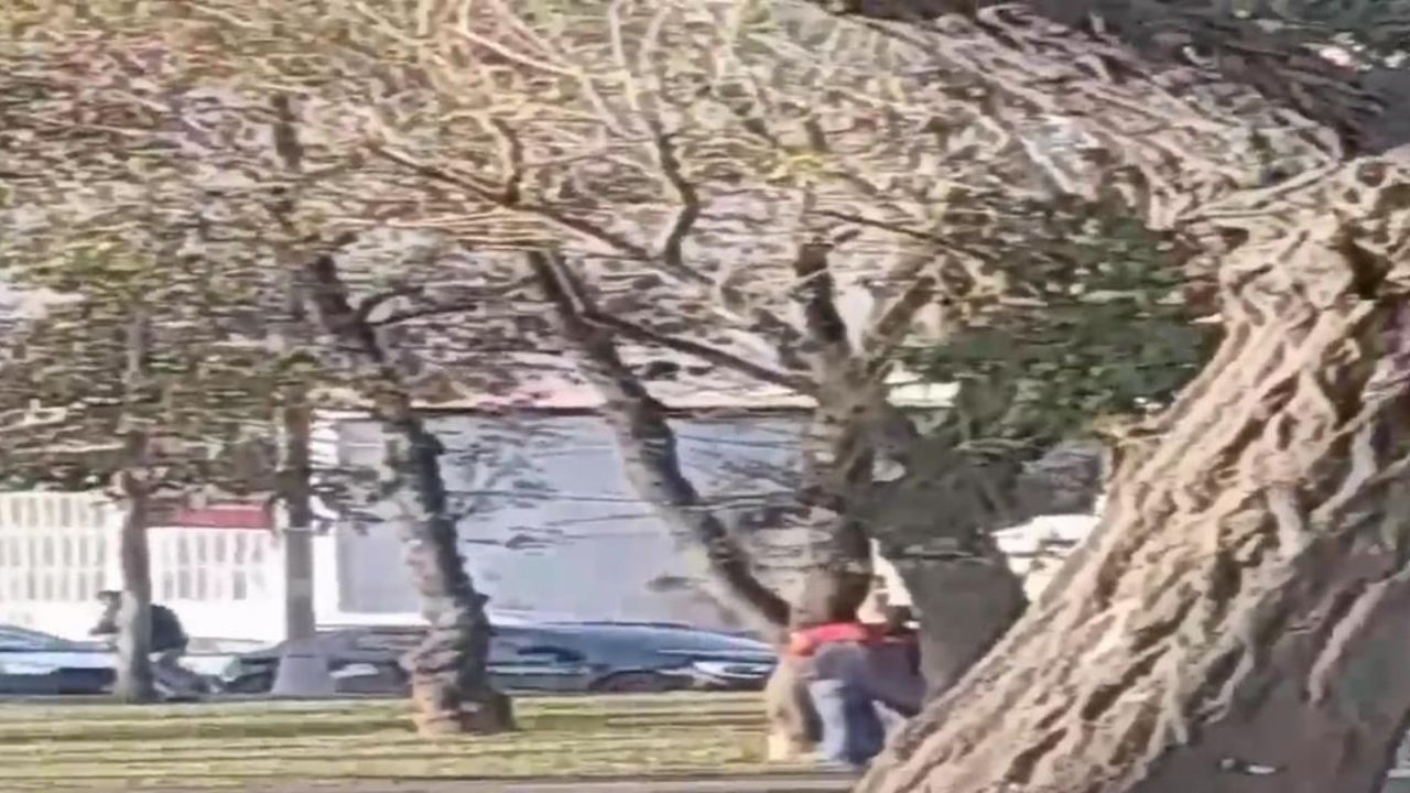 Sarhoşlar parkta ağaçlar arasında silahla çatıştı 