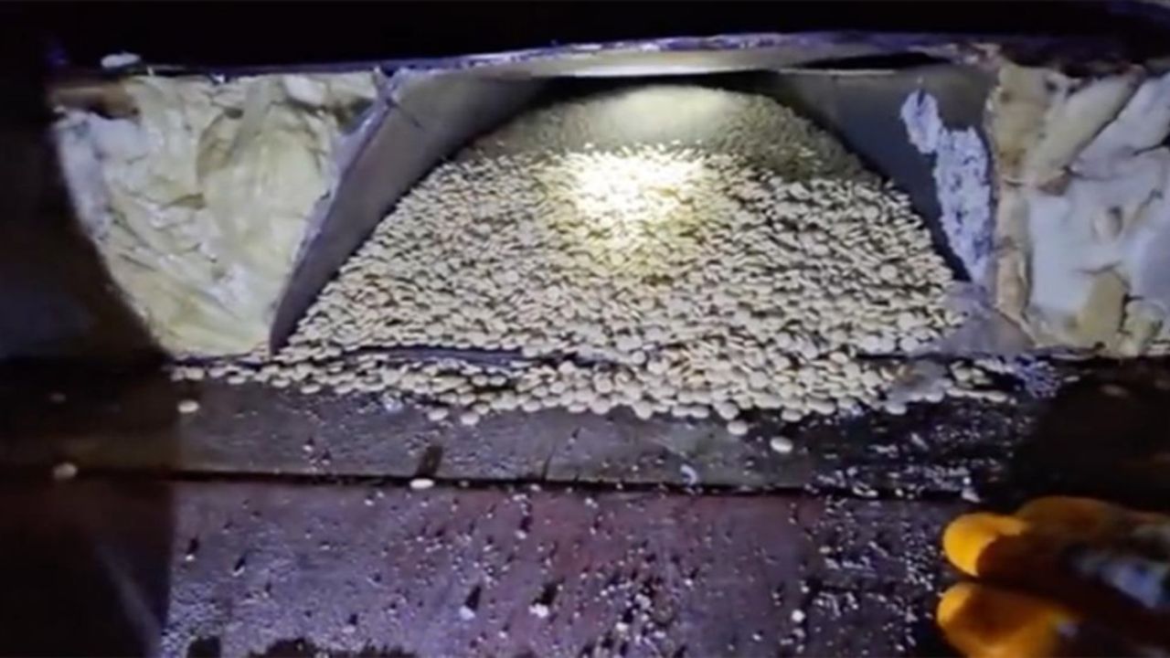 Uyuşturucu şebekesine dev darbe! 1,2 ton uyuşturucu hap ele geçirildi!