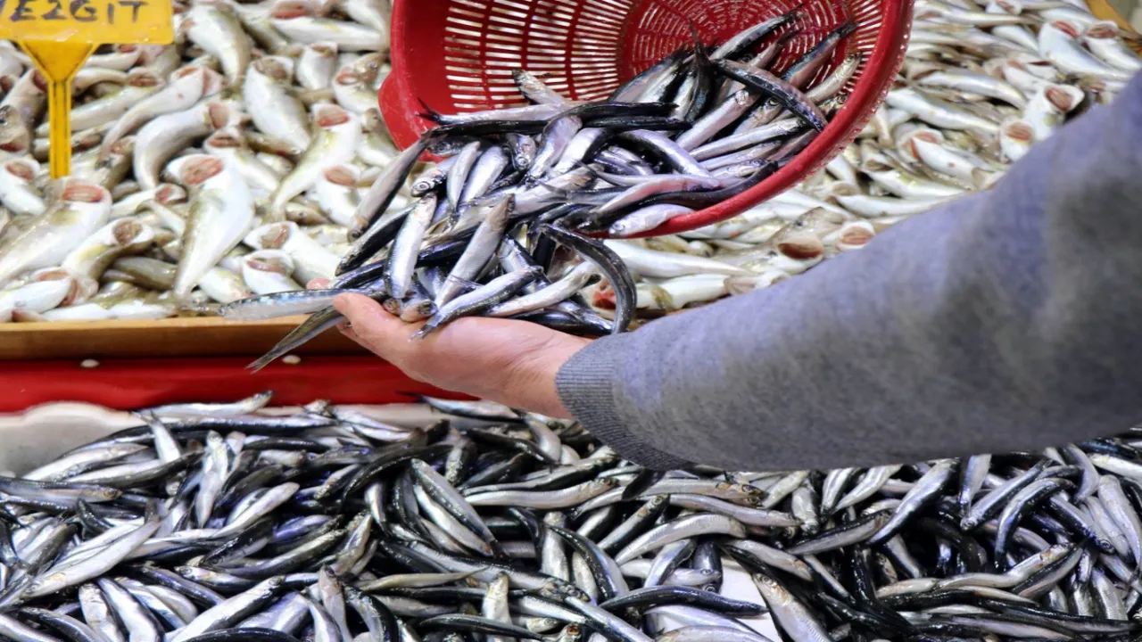 14 Aralık Ankara hal balık fiyatları belli oldu! 14 Aralık güncel balık fiyatları
