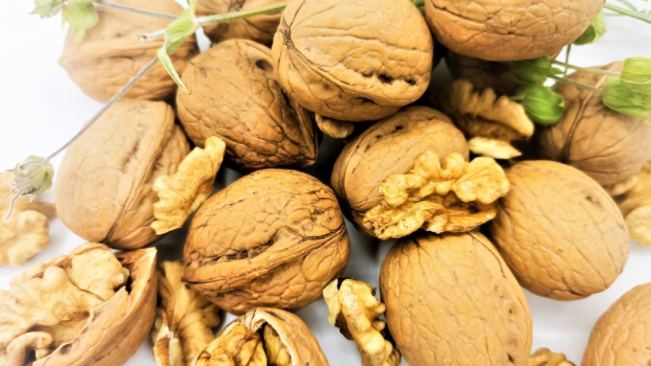 2023 serbest piyasa ceviz fiyatları açıklandı! İşte güncel serbest piyasa ceviz fiyatları