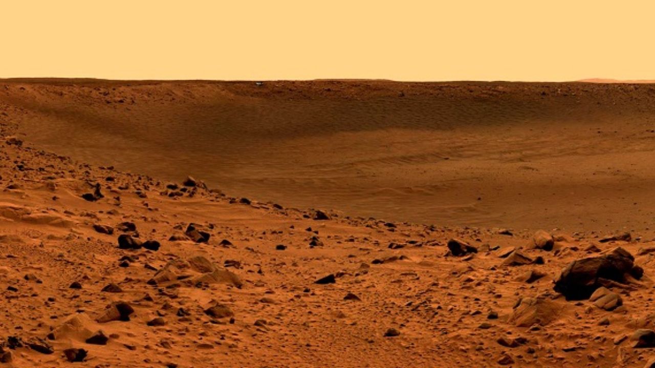 Böcekler Mars'ta yiyecek yetiştirmemize yardımcı olabilir! 