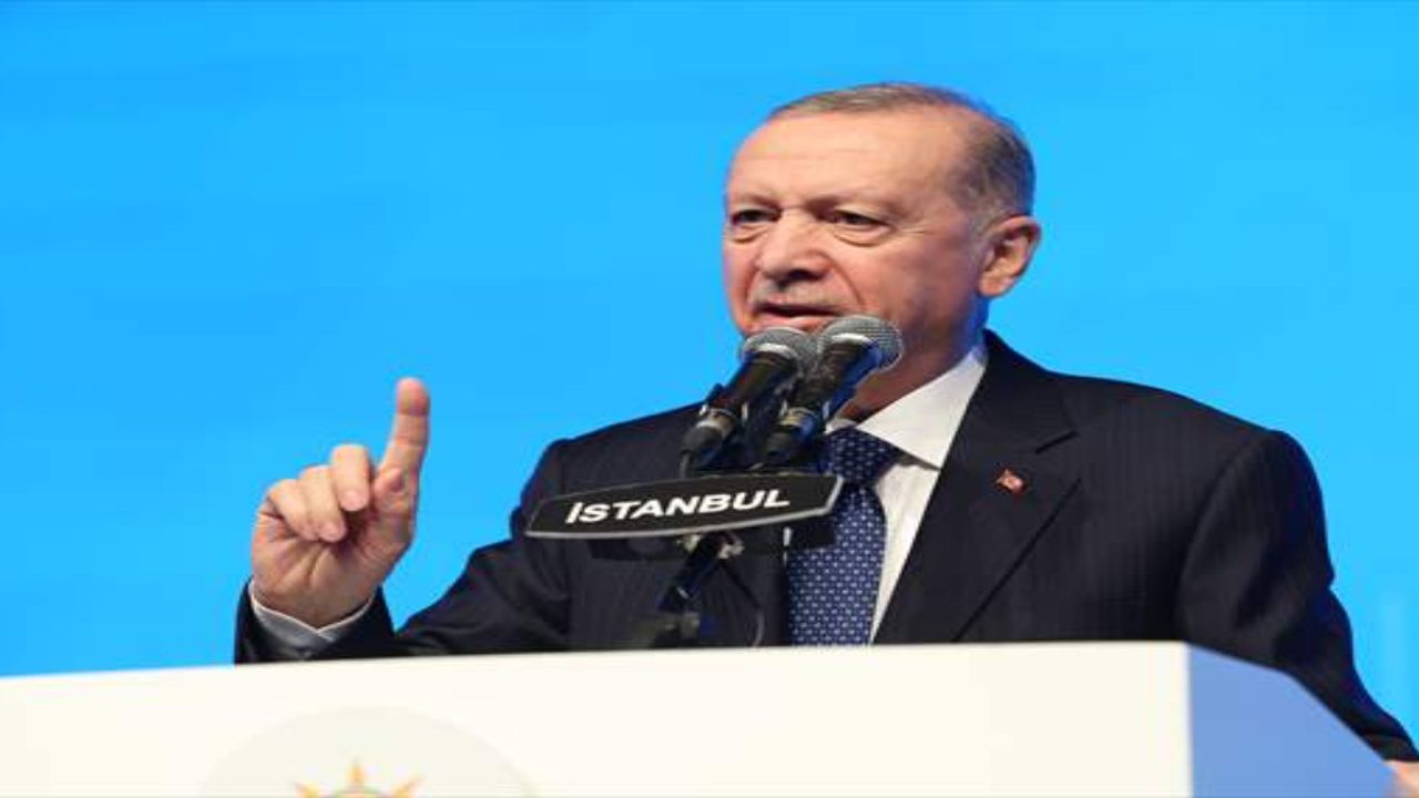 Erdoğan: Sokak hayvanları sorununu çözmek için çalışıyoruz