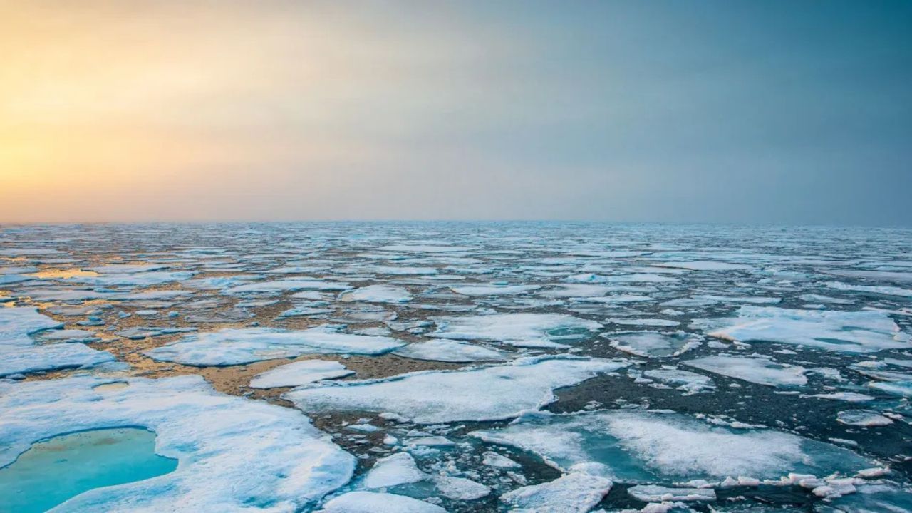 Kuzey Buz Denizi suları ısındıkça yüksek oranda karbon yayıyor!