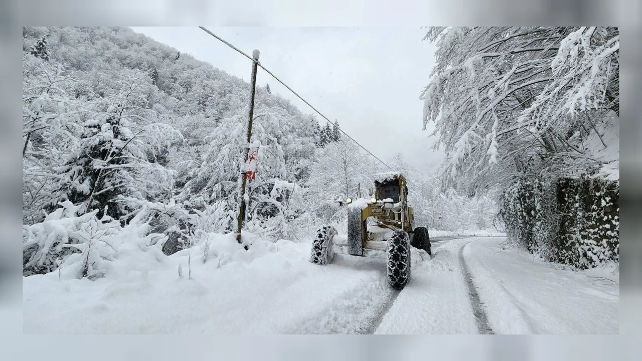 4 ilde 220 köy yolu yoğun kar nedeniyle kapandı! 