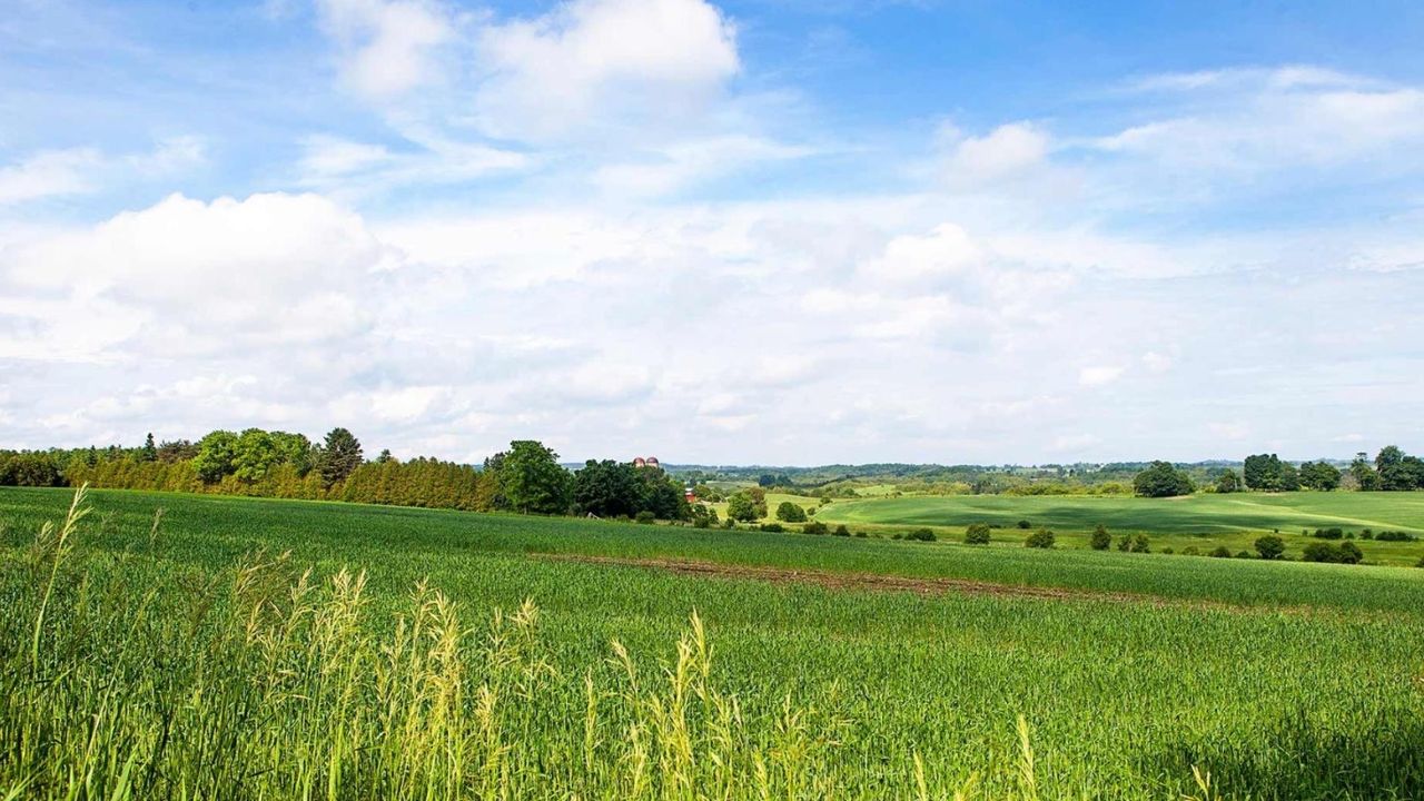 41.000 TL’ye bağ bahçeniz hazır! Mlli Emlak fırsatı duyurdu 