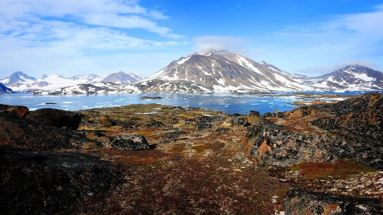 Araştırmacılar, Kuzey Grönland’da 30 cm uzunluğunda ‘dehşet canavarları’ fosili keşfetti!