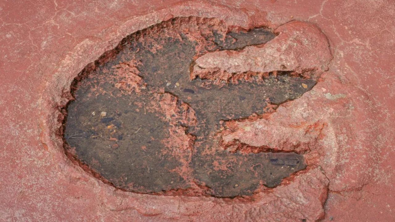 Bilim insanları dinozorlardan daha eski mumyalanmış deri buldu!