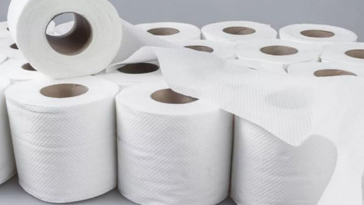 Havlu ve tuvalet kağıtlarında yüzde 48’e varan indirim kampanyası! Büyük boyu 119 TL’ye kadar düşüyor