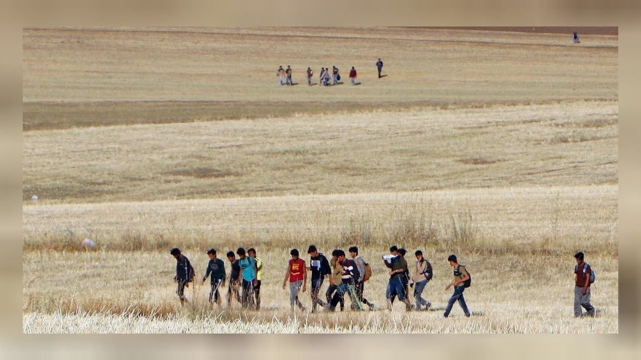 Iğrdır'da 24 düzensiz göçmen yakalandı