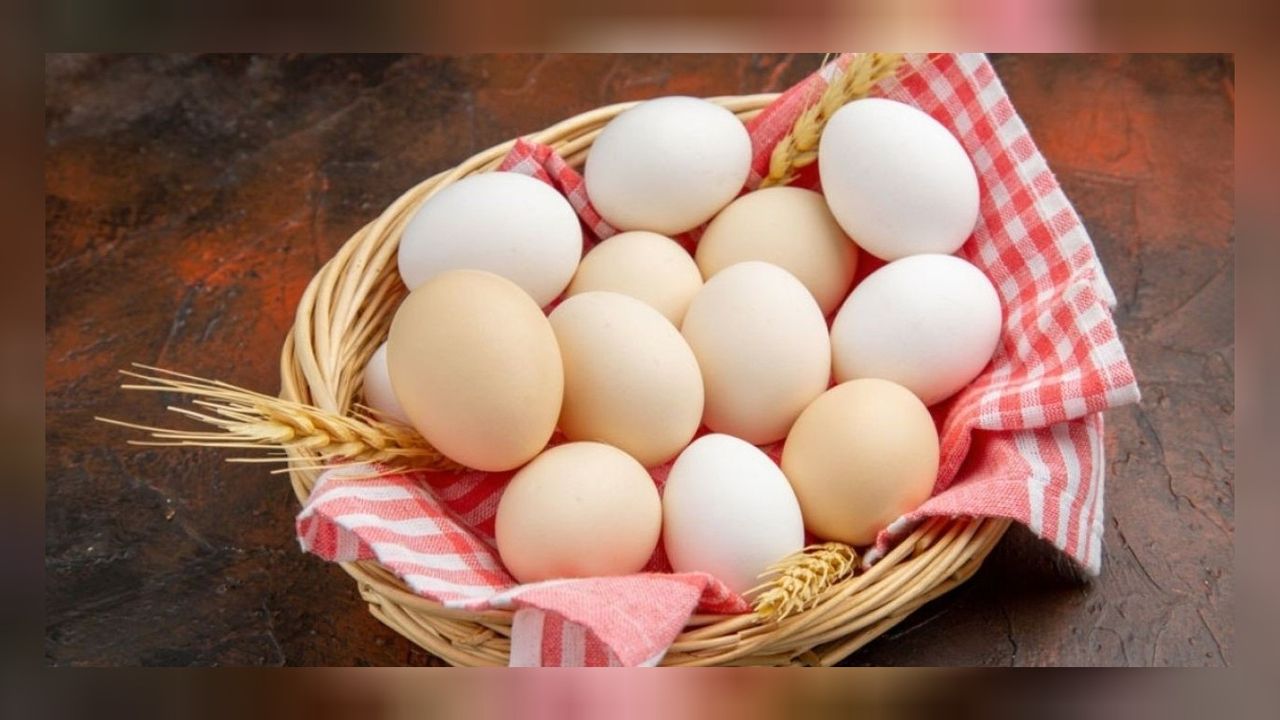 Putin halktan özür dileyince Türkiye onayı verdi: "Yumurta" anlaşması yapıldı